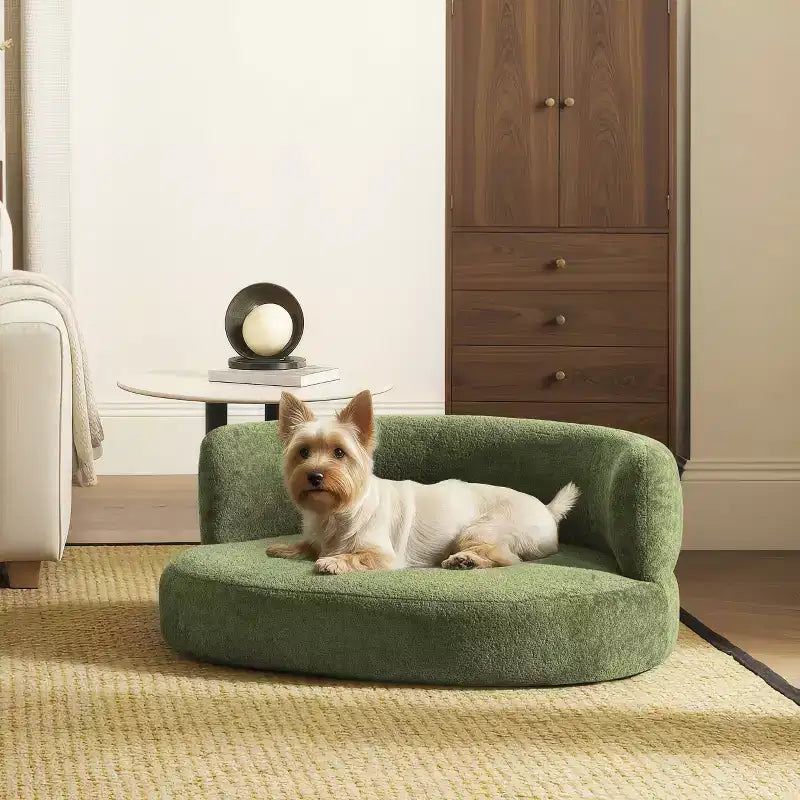 Jennifer Taylor Home Shep 36 - Canapé-lit incurvé pour chien, taille moyenne, Teddy en molleton vert mousse