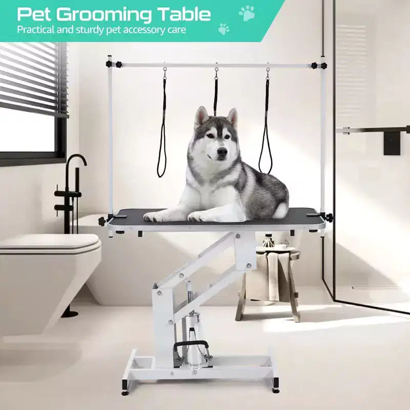 Table de toilettage pour grands chiens de 43,6 pouces, robuste et réglable en hauteur, avec bras supérieur et sangle de maintien. Hauteur réglable de 22 à 39 pouces, jusqu'à 350 lb.